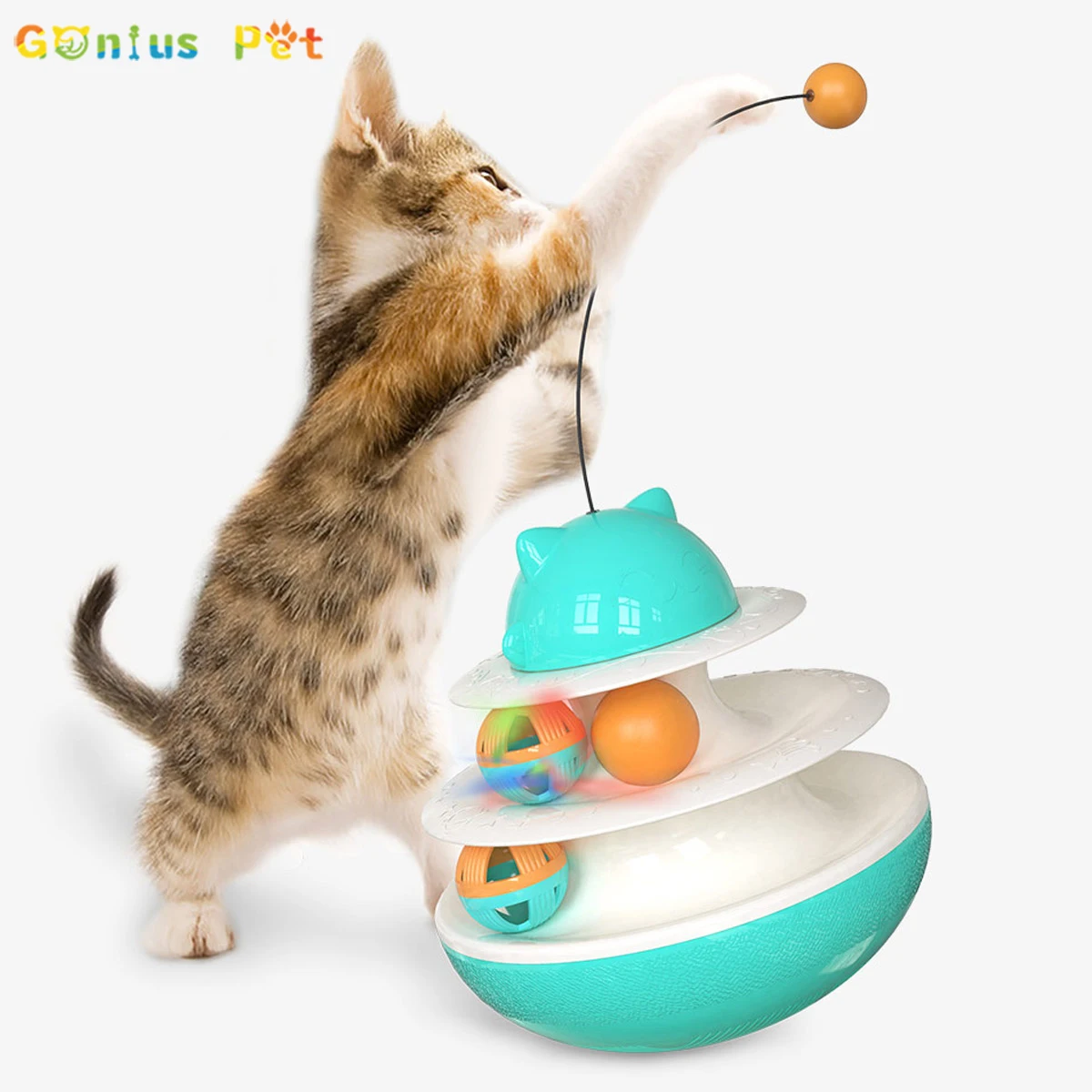 Induce element Unnecessary Pisica Jucării Interactive Jucării Pentru Pisica Transport Gratuit  Interacționa Cu Gazda Catnip Crește Pregătire Fizică Pisici Joaca Pentru  Pisici Consumabile cumpara ~ Reducere > www.cepsports.ro